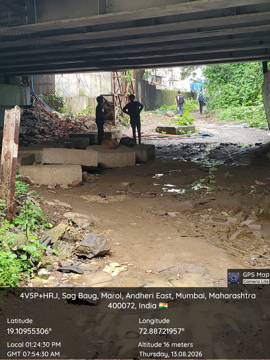 KrantiRane1's tweet photo. एल विभाग प्रभाग क्रमांक 156 साकीनाका पोलीस ठाणे अंतर्गत BMC पानीखाते पीकनिक हॉटेलच्या मागे मिठी नदींशेजारी साकिविहार रोड,  काही घरामध्ये कित्येक वर्षांपासून ड्रग्स गांजा बटण आमली प्रदार्थ विक्री केली जाते. @MumbaiPolice @DcpZone10Mumbai @mieknathshinde https://t.co/GRRMZN9dBl