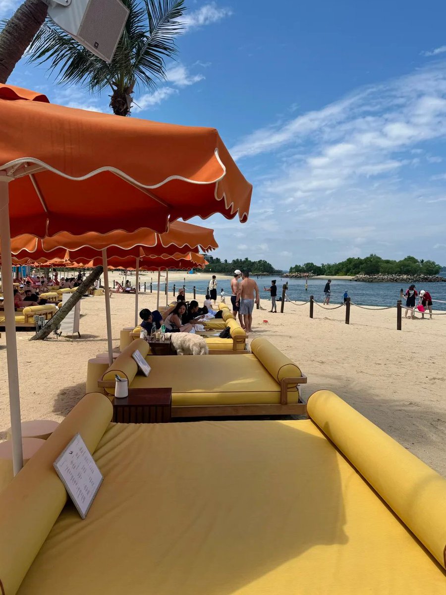 hedgehog_ilvu's tweet photo. Sentosa's favorite beach https://t.co/qUtNeJAQo1
