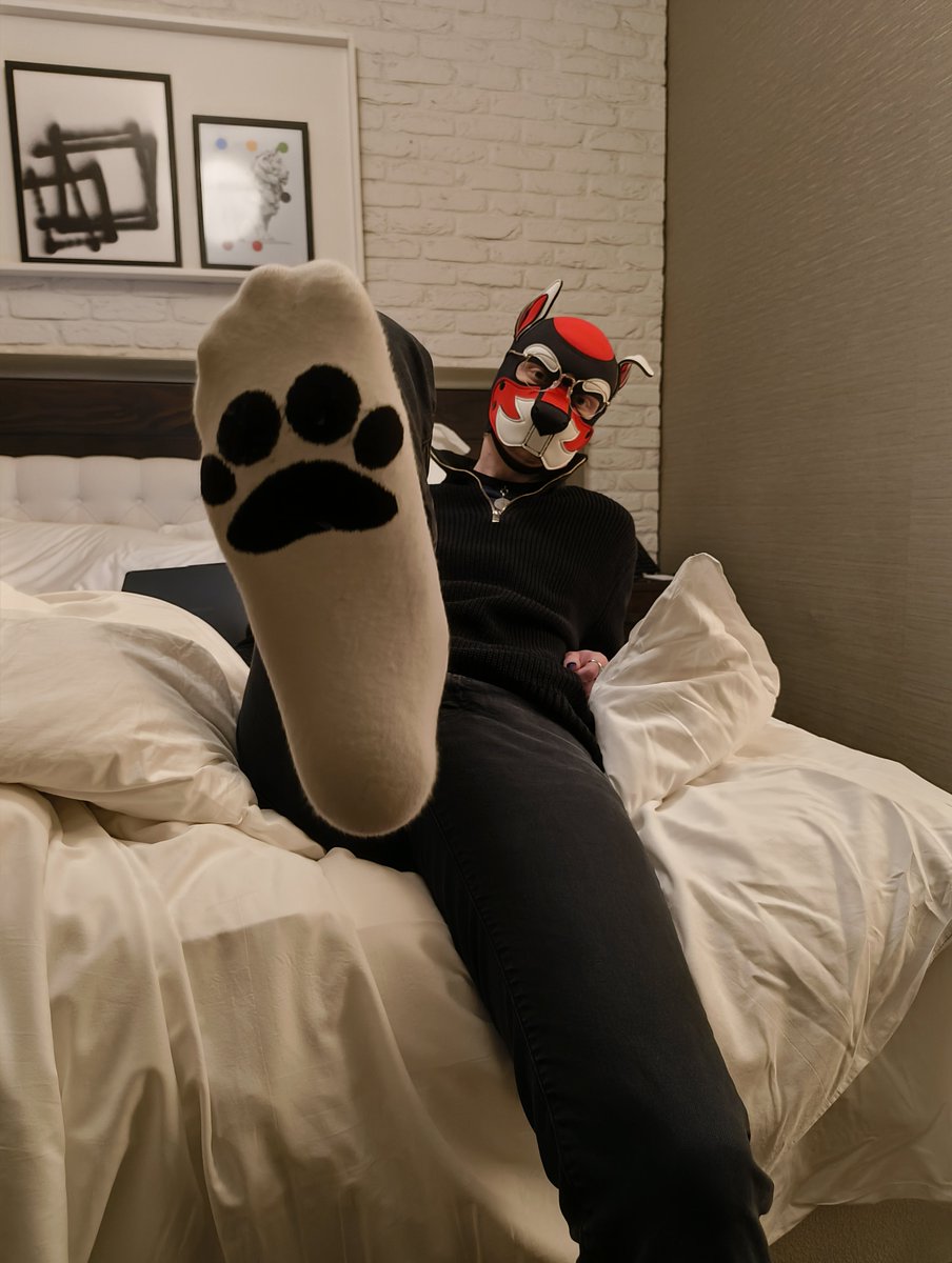 Pup_Amon's tweet photo. @Partyzan_noodle https://t.co/2pchj8mori