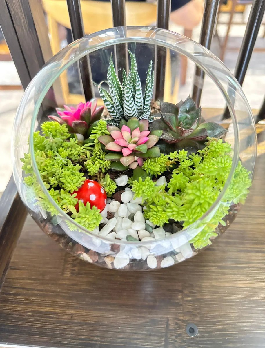 Quda1997's tweet photo. DIY upcycled mason jar planter! Turn an old glass jar into a cute succulent pot with just rope, glue and scissors  Super easy weekend tiny project https://t.co/1m3700cvM4