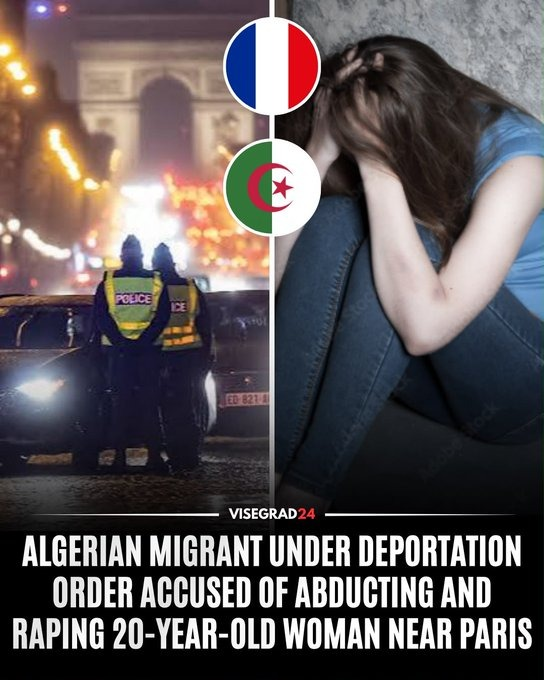 MarioNawfal's tweet photo. 🇫🇷🇩🇿 A 20-year-old walked out of a nightclub near Paris after two drinks... Then she blacked out and was taken more than 30 km away and carried into a hotel room.

The man accused of raping her is a 32-year-old Algerian already under a deportation order.

His DNA was found and he's been detained, but now a second man is accused of helping move her and booking the room.

This is the reality too many women in France keep waking up to.

Source: @visegrad24 / Writer: Val