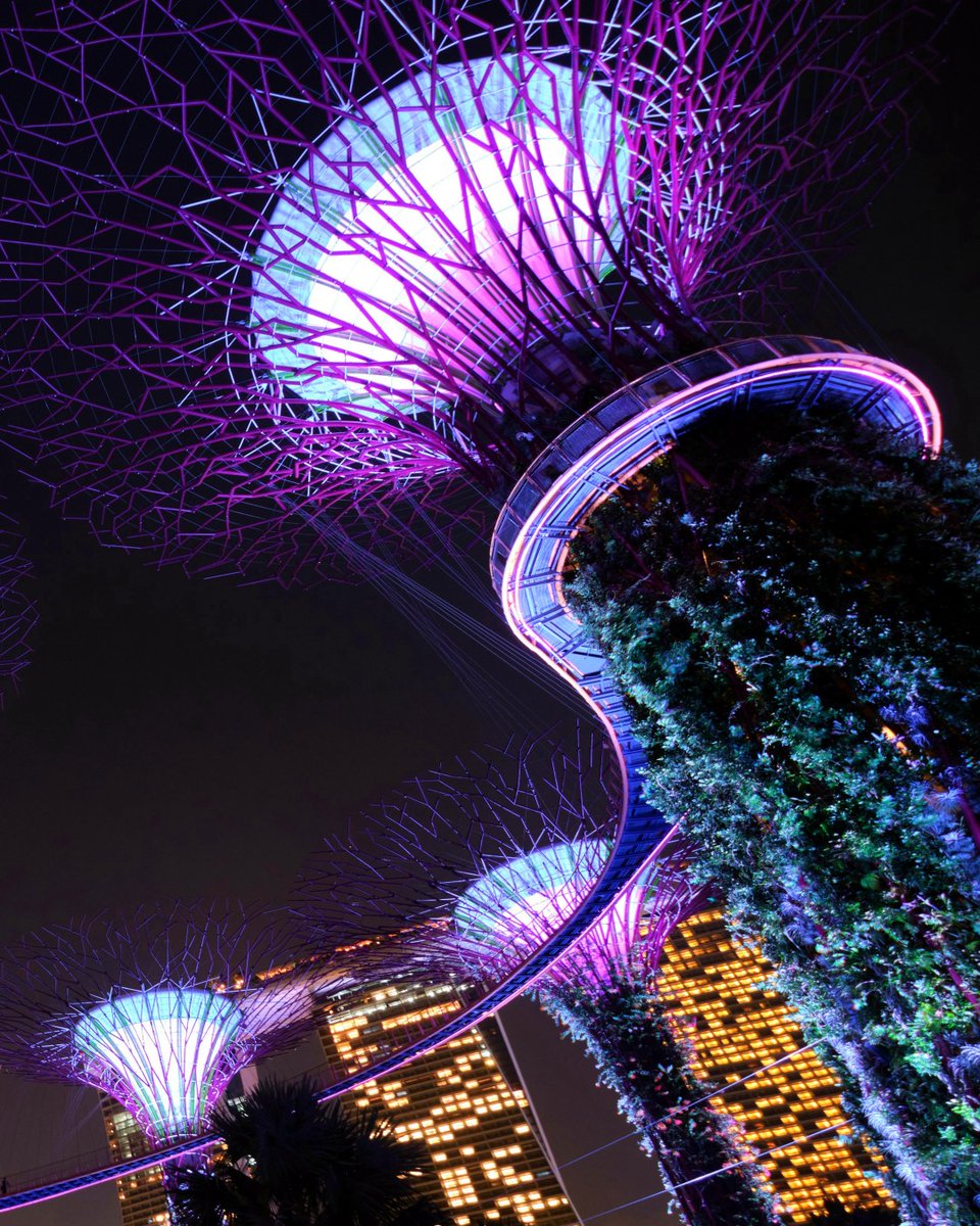 whyleavehome's tweet photo. Singapore after dark: the Supertrees at Gardens by the Bay light up nightly (free shows ~7:45 &amp; 8:45pm). Easy, walkable, and a good first or last stop on a bigger Southeast Asia trip. #Singapore #TravelPlanning
https://t.co/ptycVNlfxM https://t.co/dtRdGytujo
