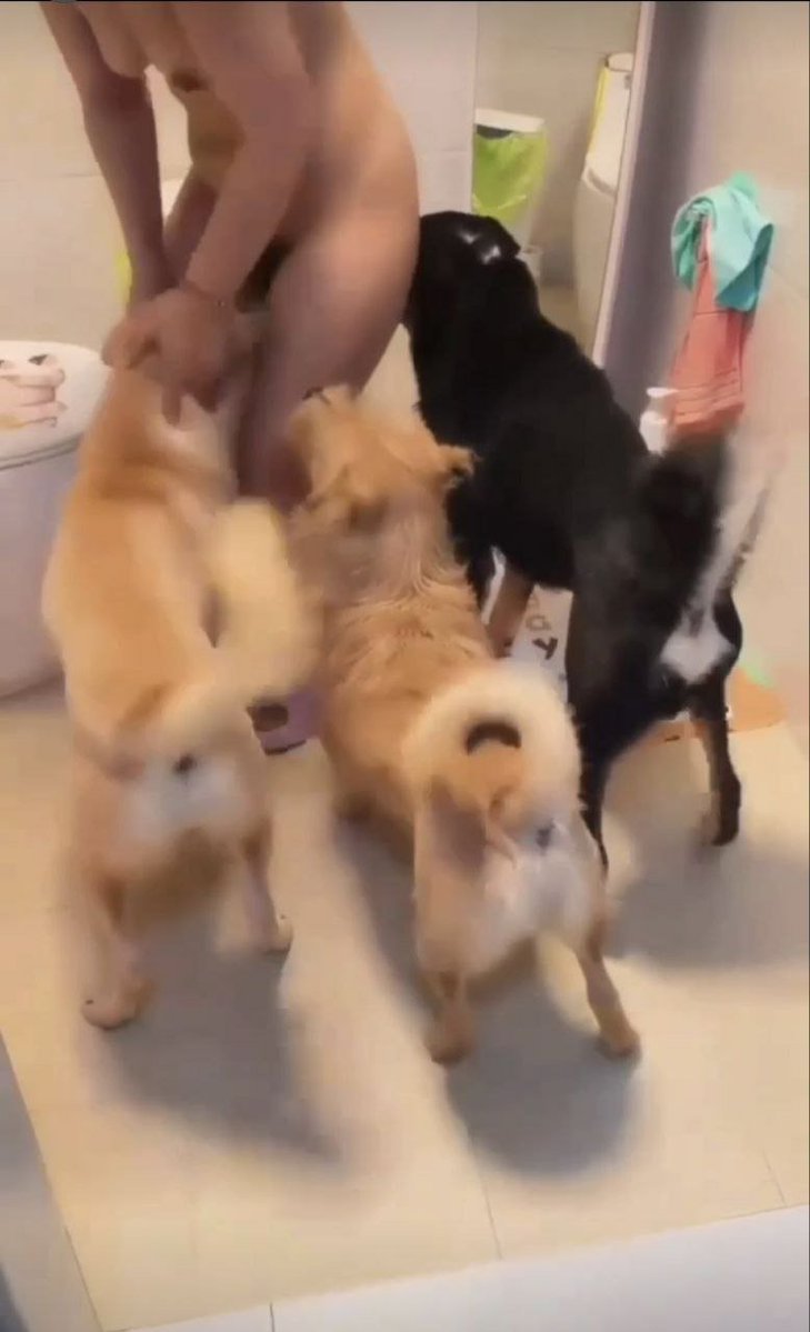 zoolifemichelle's tweet photo. Just a little canine romance ❤🐕
https://t.co/9dbnTxPIxE 

tap on my link above for your entertainment Brutus! 
#furry #zoo #weratedogs #AEWDynamite #german https://t.co/MHyfLo7s5m