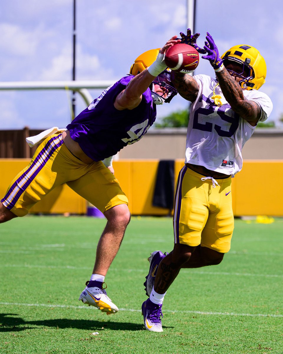 LSUfootball tweet picture