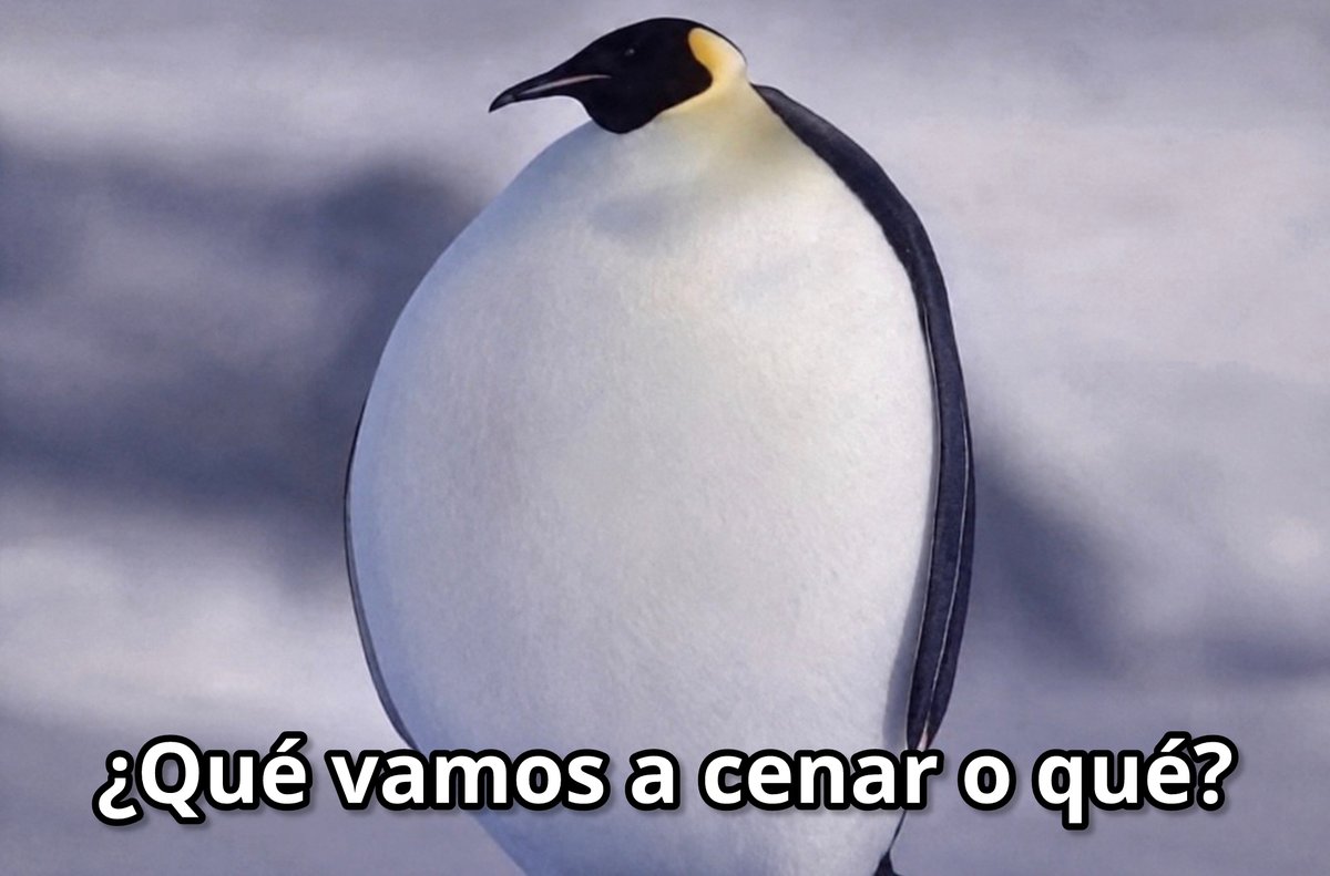 Guarromantico_'s tweet photo. Yo después de comer 6 veces en el día. https://t.co/6PxrYXazxX