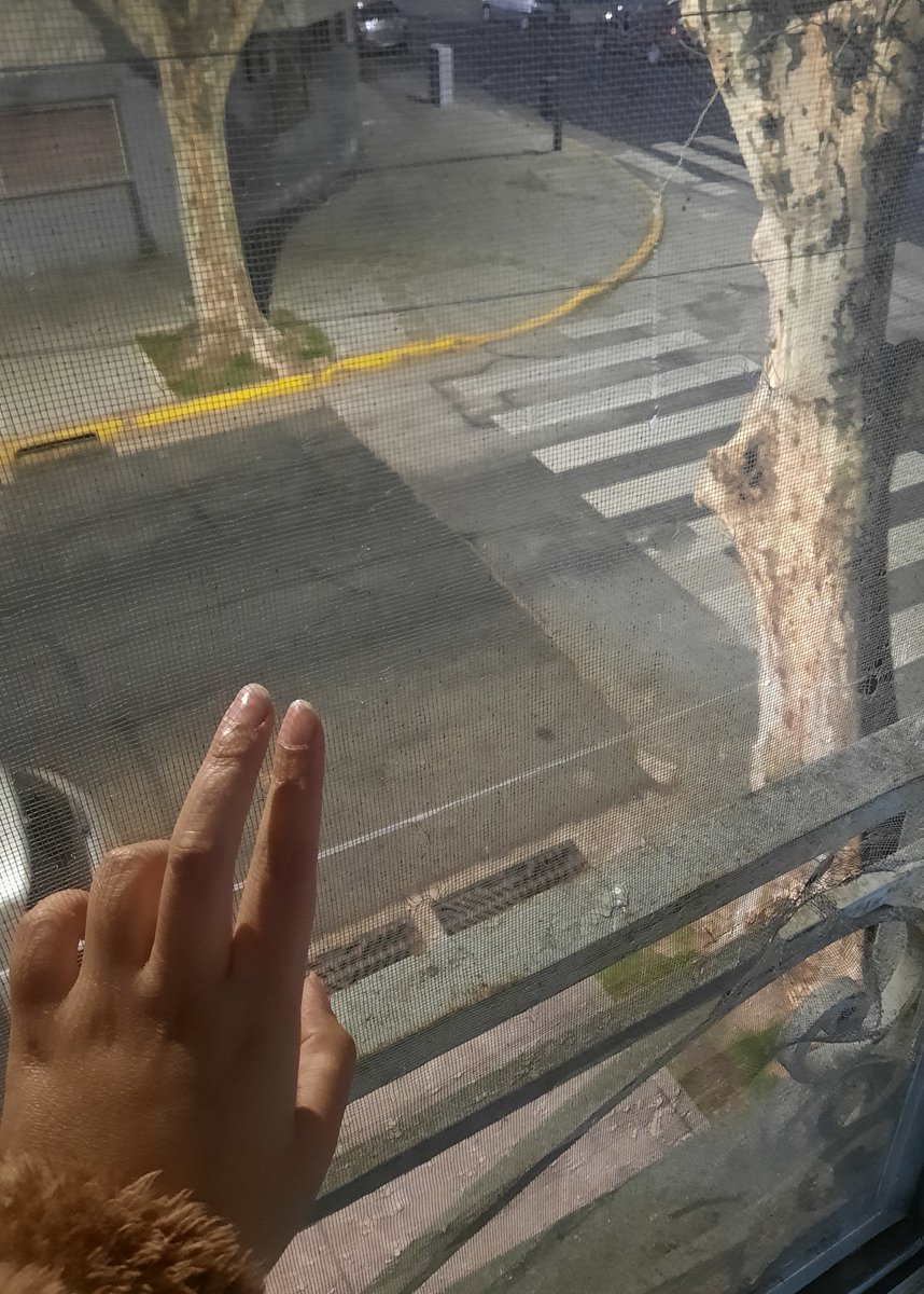 mrkvampiro's tweet photo. esperando que mis esposas hermanas vuelvan de la facultad con la salsa para la pija lista............ #amadecasa #unamamaquetrabaja2trabajos #vuelvan... https://t.co/FitTBlKjDa