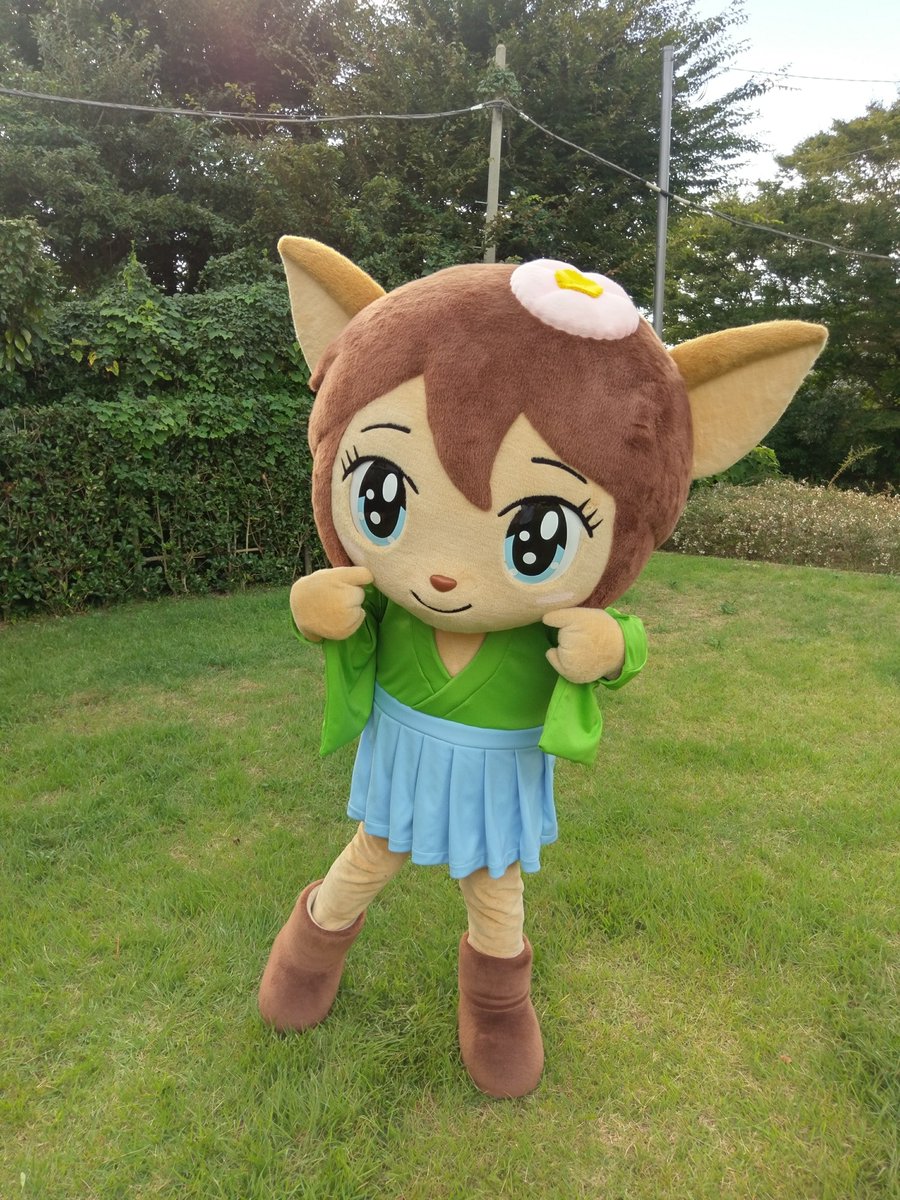masahito767's tweet photo. はまなすの花は鹿嶋市の花です。

ご当地キャラ　#ナスカちゃん　も頭につけています！ https://t.co/lQkuZgLYnY