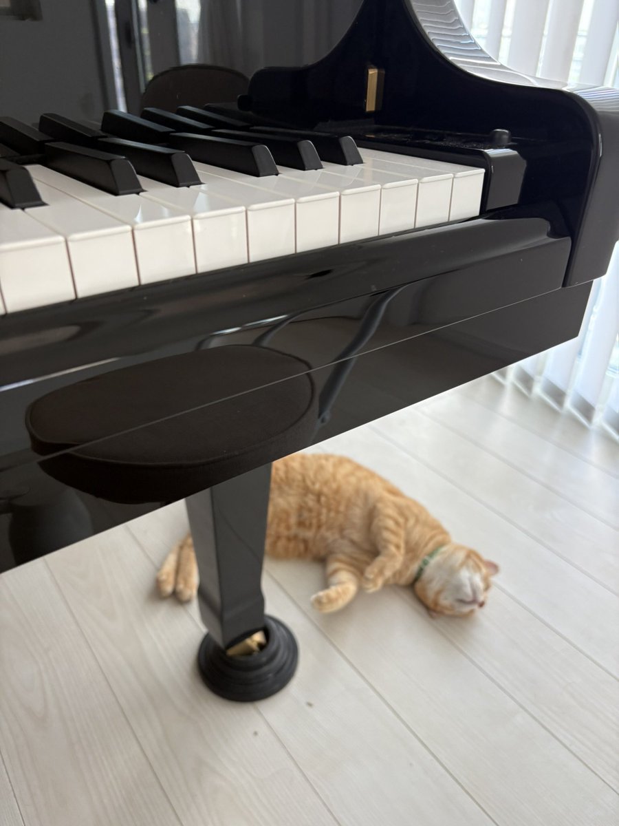 kanae_pianocats's tweet photo. 📮でよく見る、古典は基礎ができてないから難しい、モーツァルトは特に鬼門、ショパンはみんな耳肥えてるし難しい、近代フランスは譜読みしにくいし難しい。

…じゃあ一体何を弾けば納得なんだよ！！
と、呟く。

何弾いても、えーそれ弾くのー…って言われがち。笑
弾きたいんだからいいじゃないかっ https://t.co/MwywVjUUZI