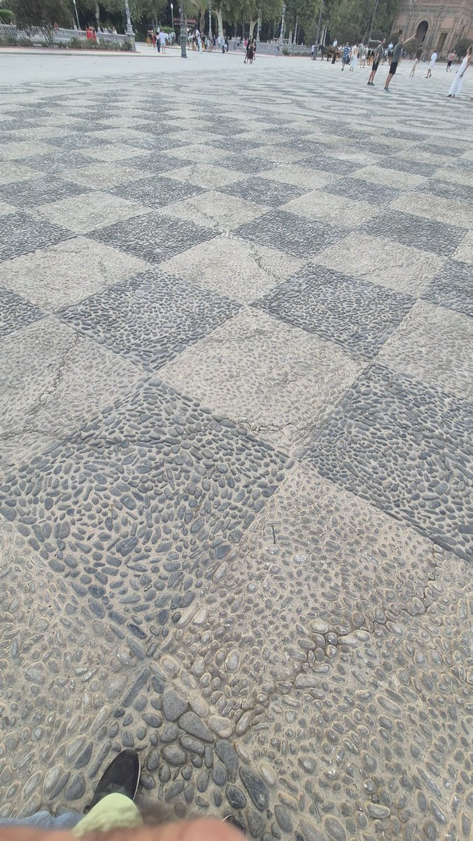AmparoGraciani tweet picture