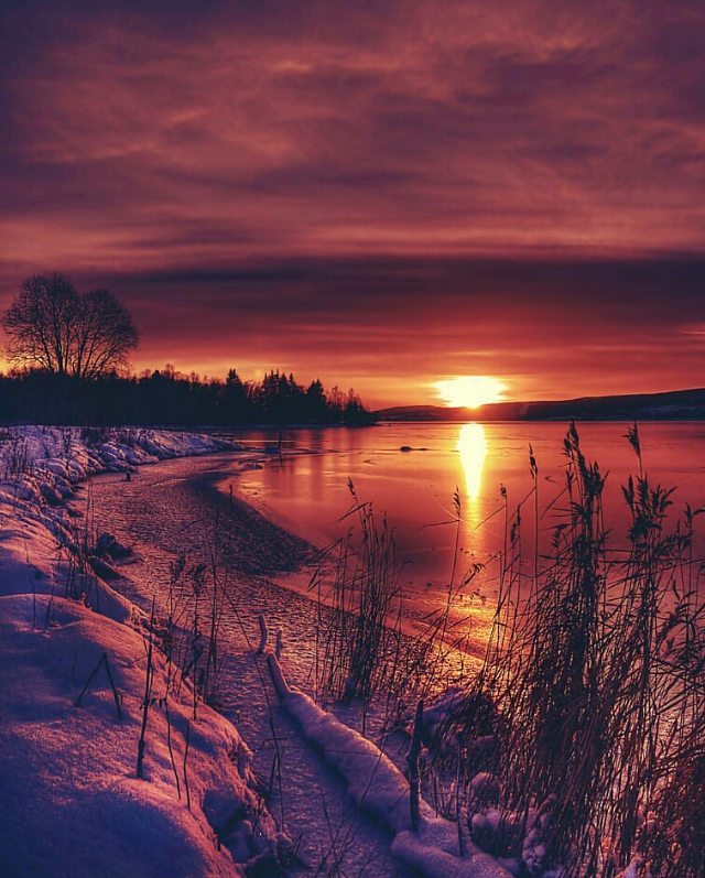 Queima_Manhu's tweet photo. صورة بواسطة @ciahl48 https://t.co/8YoeoH2G5S
