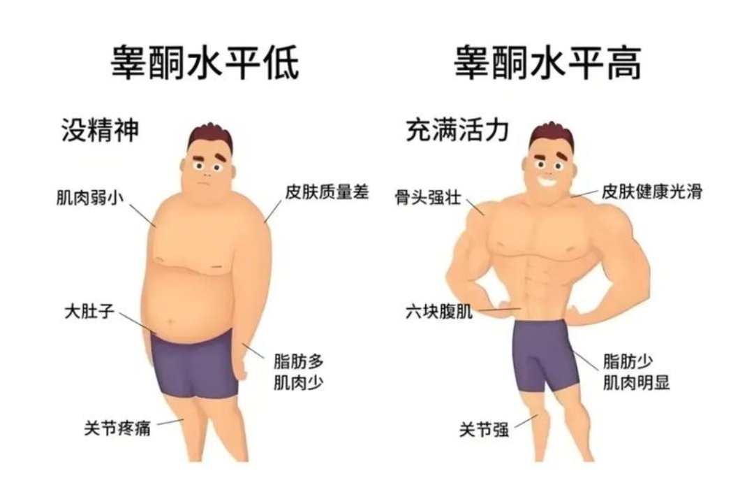 0427SMtieshou's tweet photo. 人一生被激素所控制！

睾酮决定了男人一生是否幸福！

十招让你的睾酮爆棚！

秒变打桩机！！ https://t.co/ilNCDR1Pdu
