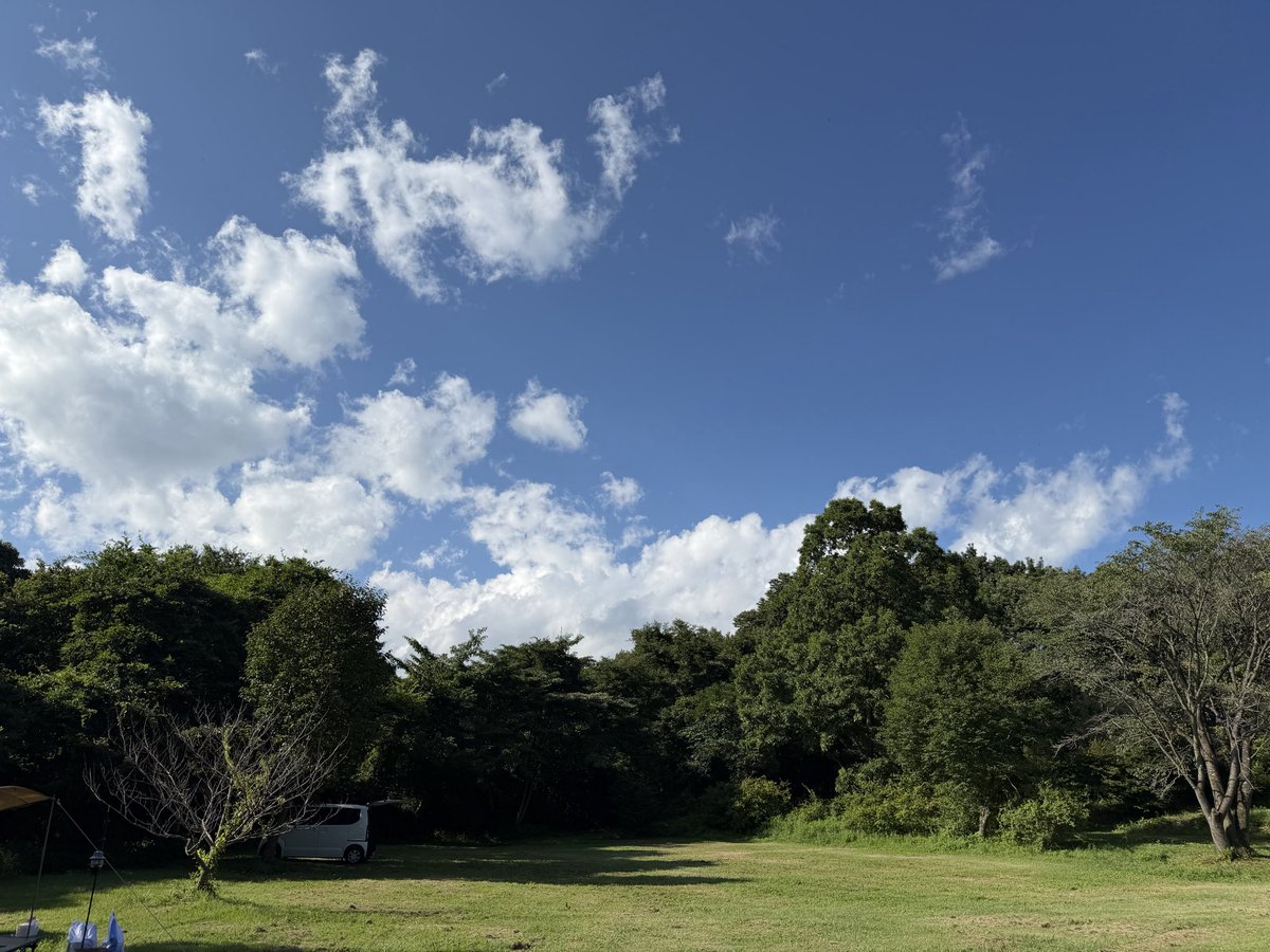 orympia's tweet photo. 1日目にポーセリンアートしたよ
好きなようにシールを貼って焼き上げるとお皿に🌸 https://t.co/qrWAyFSPcI