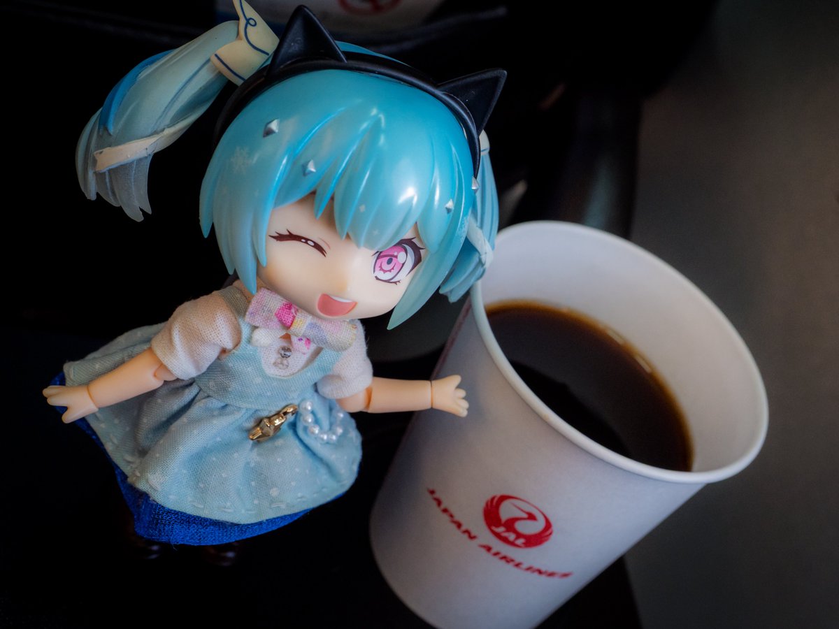 yad39's tweet photo. 姫「皆様おはようございます😌
本日もワンワールドアライアンスメンバー、日本航空をご利用くださいまして、ありがとうございます♪」

...ちょっと、姫ちゃん？あなた全日空派だって普段あれほど(ry https://t.co/nC4NVQdx9d