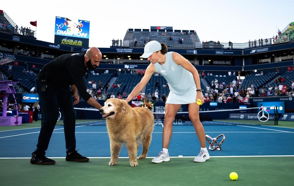 igaswiarchive's tweet photo. cutest moment of the day 🐶🫶 https://t.co/LV5SMFJ9kk