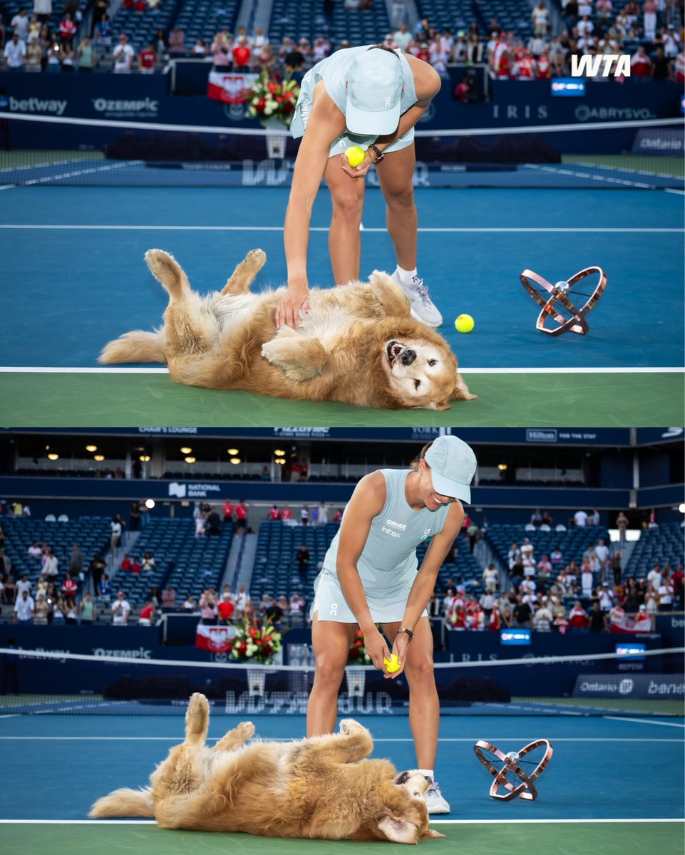 conick8's tweet photo. RT @WTA: Title in Toronto 🏆
Celebration with Ellsworth 🐶😍

What more could you ask for?

@iga_swiatek | #NBO26 https://t.co/DryPWtb6oL