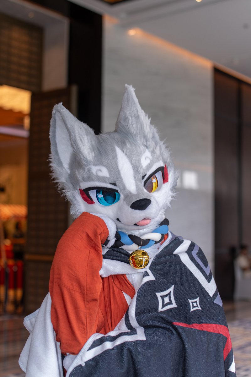ea_tenda's tweet photo. #FursuitFriday 
周末周末快过来(இωஇ )
摄影：逐影 https://t.co/1DIOE74SOc