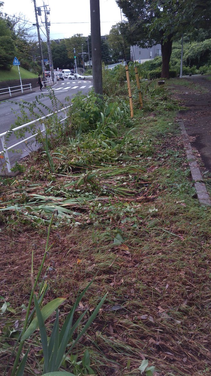 bugenjukukantou's tweet photo. 大雨の傷跡。
今朝の散歩コース。大変だったようです。
天台のスポーツセンター前の交差点の真ん中でも黒い車が故障で放置されてました。
白い車は屋根まで水が来てたそうです。
可哀想に😢 https://t.co/nL3a4j55qk