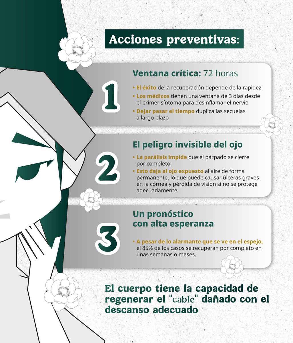 ISSSTE_mx's tweet photo. Spoiler: No fue por un "aire colado" ni por salir a la calle después de bañarte. ❌💨

La parálisis facial ocurre de golpe y el estrés tiene muchísimo que ver. Descubre qué le pasa al "cableado" de tu cara cuando se apaga y por qué las primeras 72 horas son vitales. ⏱️🧠 https://t.co/xYkTCGwsQx