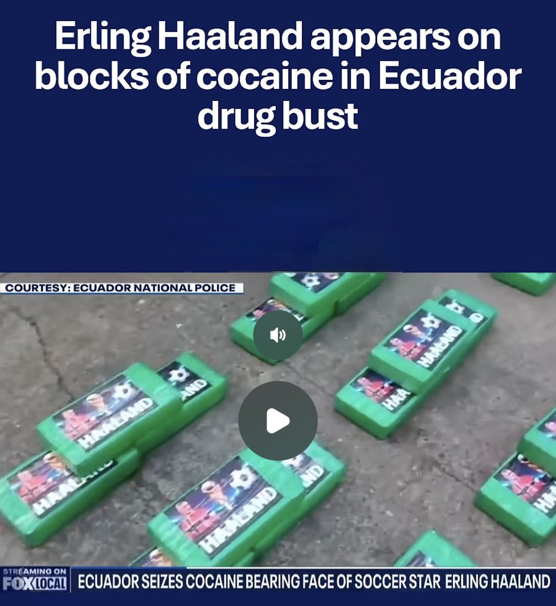 demmiegorgon's tweet photo. We got Haaland bricks before GTA 6 https://t.co/CUxspg6owB