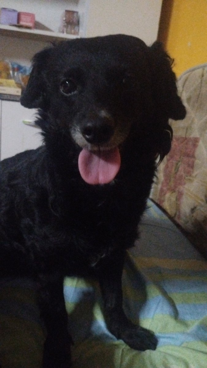 Snow_150's tweet photo. @noelru11 Yo te juro que te te banco, le tocan un pelo a mis bbs y juro que me da igual ir a la cárcel. https://t.co/JVvi17yesC