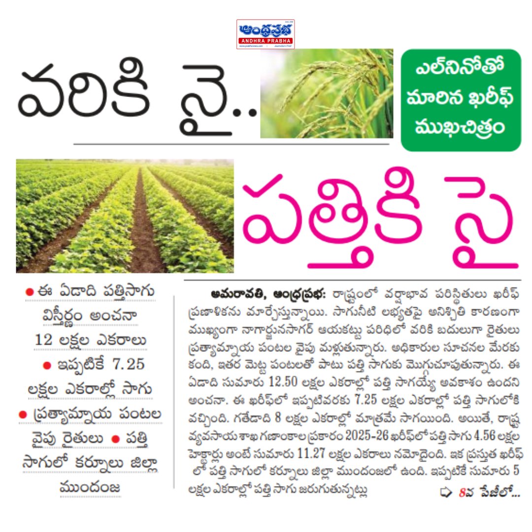 andhraprabha_'s tweet photo. https://t.co/0uZjbdvc4C | ఆంధ్రప్రభ
ఖరీఫ్ ముఖచిత్రం మారింది.. వరికి బదులు పత్తి వైపు రైతులు
#AndhraPradesh #Kharif #Agriculture #Cotton #CottonFarming #Farmers #Farming #AgricultureNews #APFarmers #CropCultivation #Kurnool #KurnoolDistrict #Paddy #AlternativeCrops #Rainfall #WaterAvailability #FarmersNews #APNews