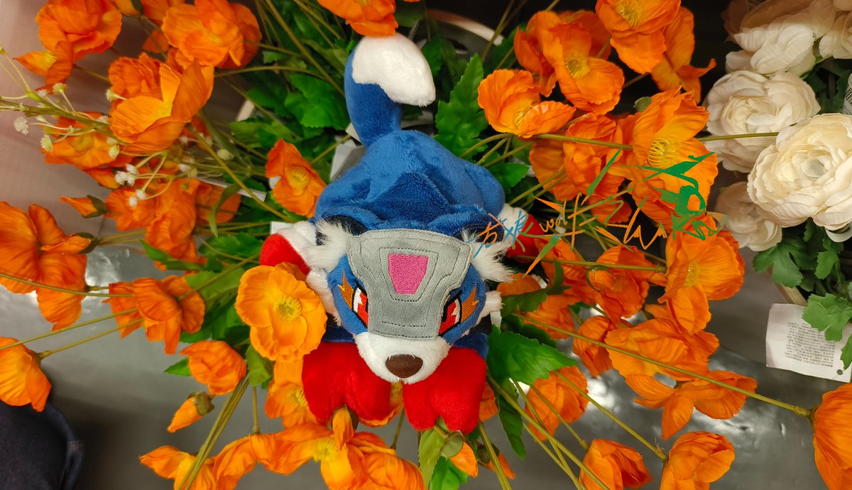 fanglangwolfL's tweet photo. @TakkinaChan 😊 https://t.co/mCQjrJs4K7