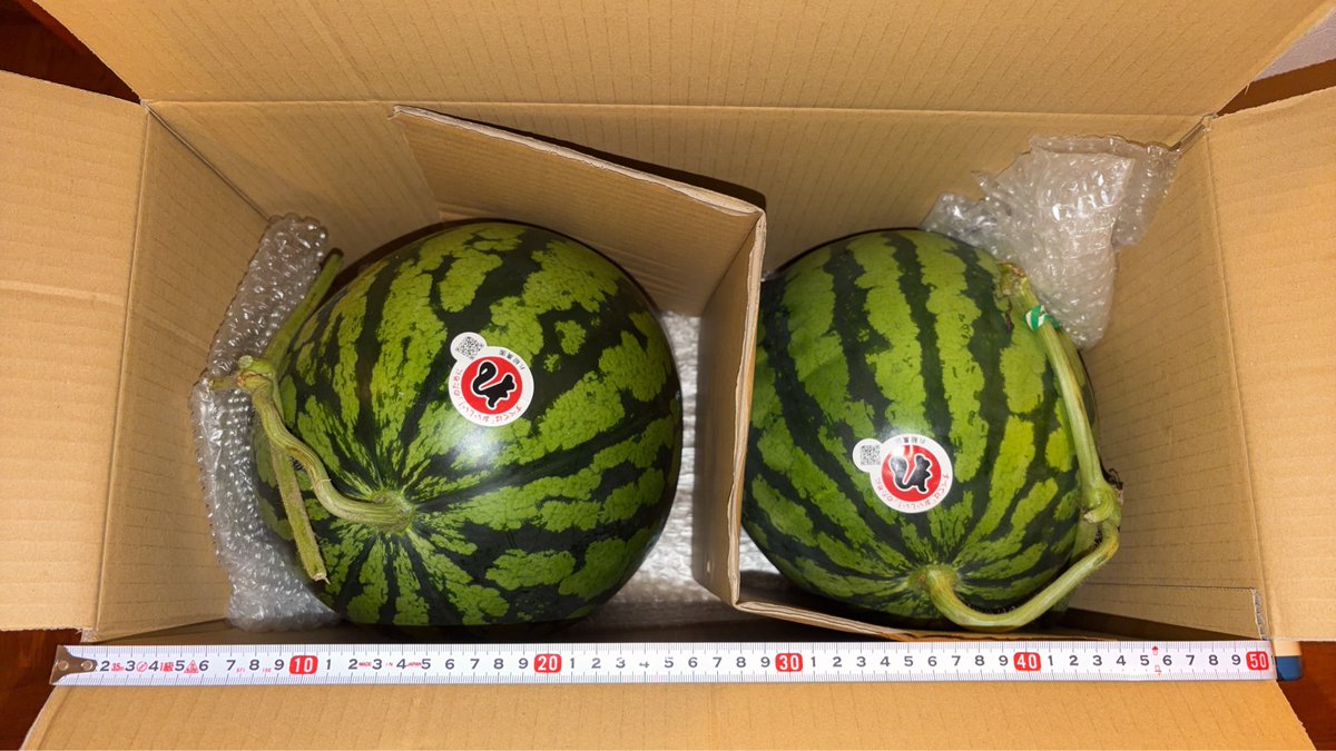 KontonFes's tweet photo. KontonFes明日8/15(土)開催です！
※当日はお土産差し入れ大歓迎です！

音響26期の寺瀬さんの会社の農園で作っているスイカとメロンをデザインコモンでご提供予定

画像27期の小樋さんには、KontonFesフィギュアを作成頂きました。

現役生の各サークルやイベントのグッズも販売予定です是非！ https://t.co/7eZjD5xNOM
