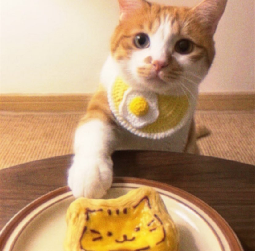 lavenderfinds's tweet photo. The crispy egg tart met the patient pastry chef ᯇᴗᯇ https://t.co/MS1gmnehtd