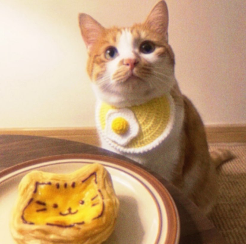 lavenderfinds's tweet photo. The crispy egg tart met the patient pastry chef ᯇᴗᯇ https://t.co/MS1gmnehtd