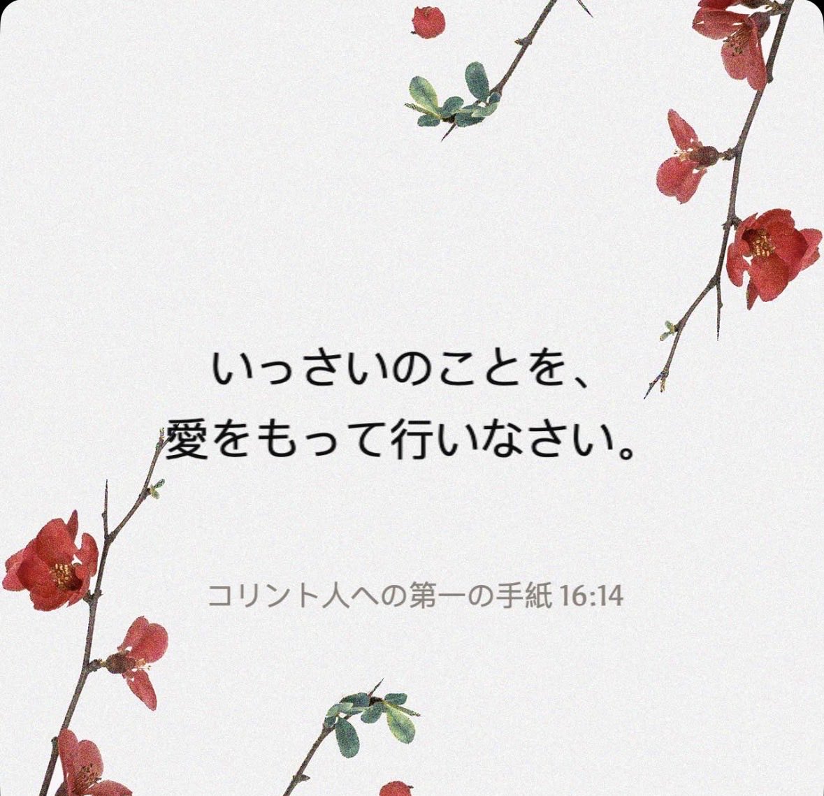 ricopon's tweet photo. https://t.co/hewIwT3zK3