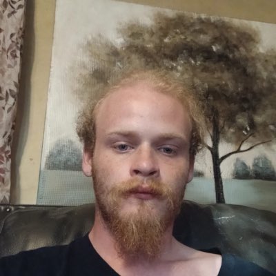 BeardsonBeardly's tweet photo. https://t.co/VWQfxWQmLd