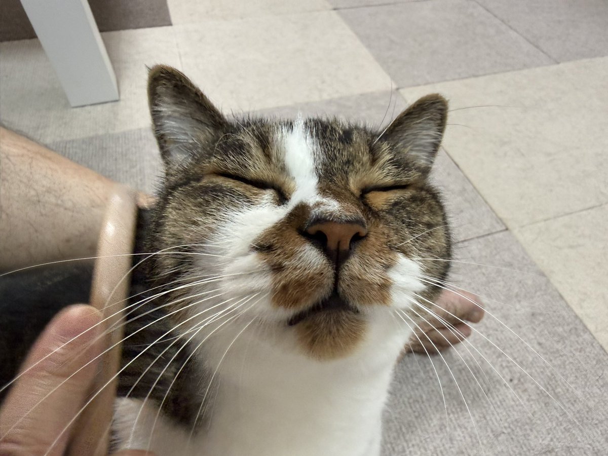 PanainoShinobu's tweet photo. おはようございます。
久々のパン食。久々のマーガリンソムリエｗ https://t.co/qGaHYh6rul