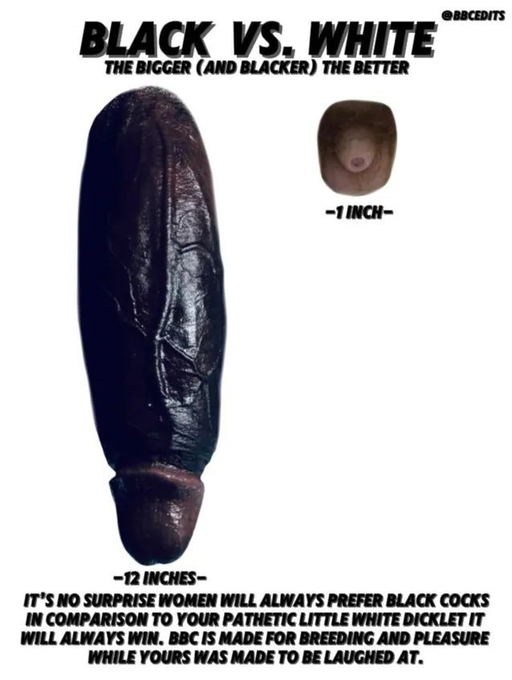 DomKinggMalcolm's tweet photo. Black Kings💪🏿 Vs Whitebois🙇🏻‍♂️

You never even had a chance... From the moment you were born, your weak pathetic lil cock sealed your destiny🔒

But don’t worry, I’m here to make sure you accept it completely🤏🏿Join my SPH Session now, loser!📏 https://t.co/AZsIPN4ePv