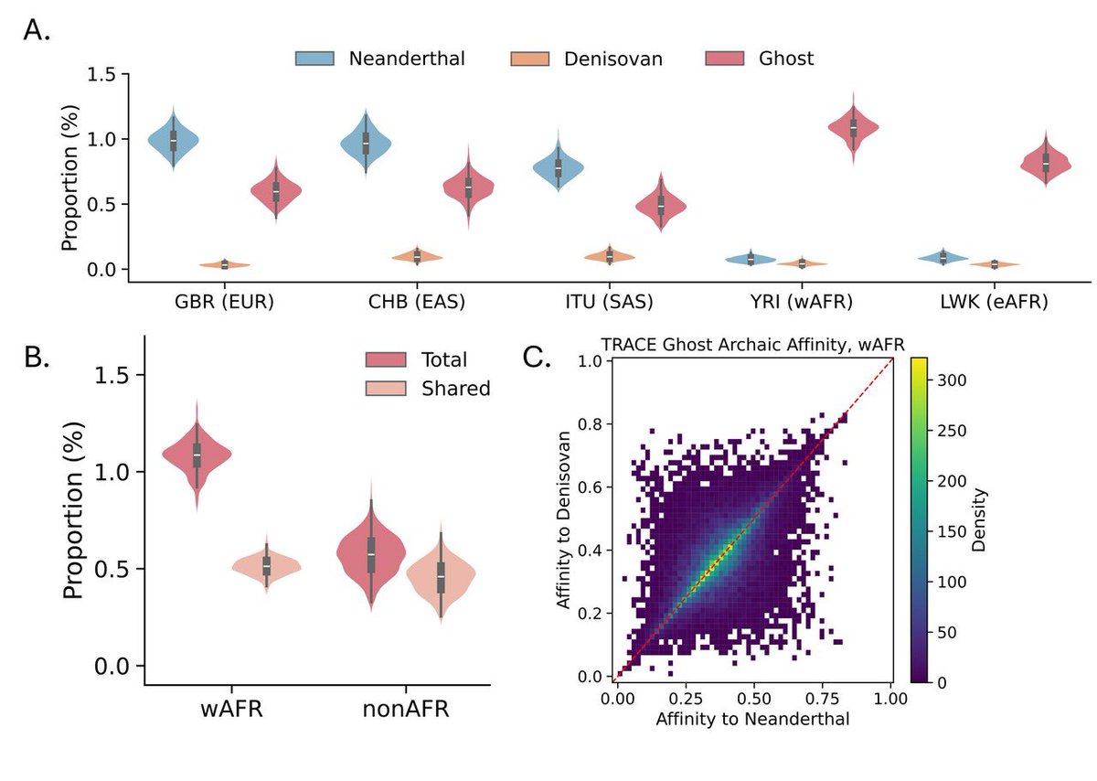 Tweetrman1's tweet photo. @heinrich44865 @Zeke_Darwin And also the actual ghost admixture is pretty minimal (few%) with some of this ghost being found in OOA groups, here’s a image from the new TRACE study, which has the ghost be found in around 0.5-1.3%, although it does under report Neanderthal aswell so actual % probably higher https://t.co/Tgn3MlRlhM