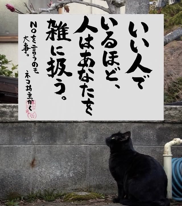 loveanchobi's tweet photo. 一言御礼を返したら
あったこともない
娘さんが大学を卒業しただの
ご自分の制作会社の近況報告だの
鬼LINEがきて、
しまいには下町の日本酒会に来ませんか？
って本当に俺のこと覚えてるんだろうか？ https://t.co/m3PGLz1Ceg