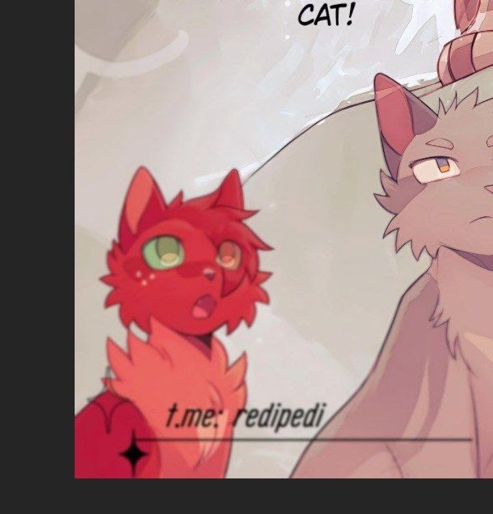 Radiance_woof's tweet photo. Scene redrawing from the graphic novel
#warriorscats #Stoneteller #Feathertail #Squilrrelflight #crowfeather #stormfur #art #redraw #graphicnovel https://t.co/B9br0iakiS