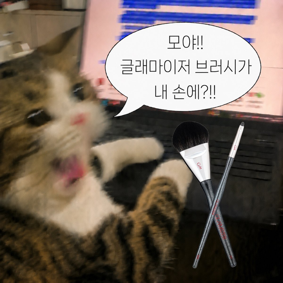 glamizer_ tweet picture