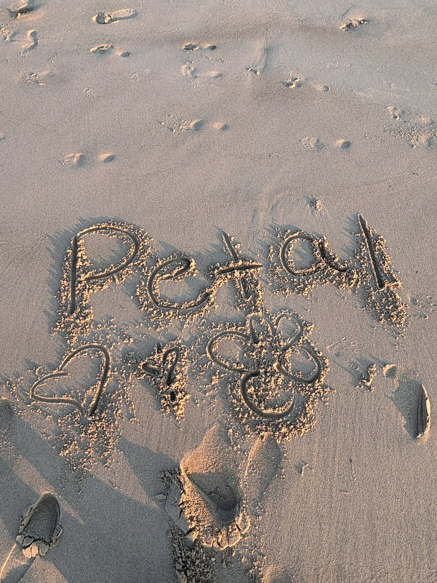WcbfAgb's tweet photo. It’s such a fucked situation petal in the sand 🌱!!! https://t.co/iG4VE6jKYf