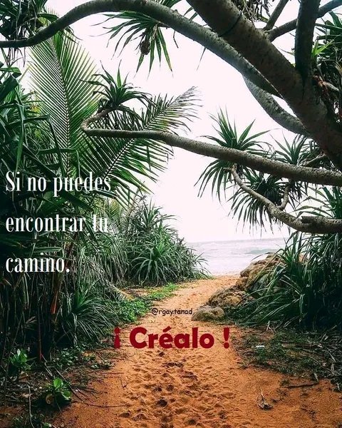 rgaytanad's tweet photo. Si no puedes 
encontrar tu camino. 
 ¡ Créalo ! https://t.co/uEN2QXWE6y