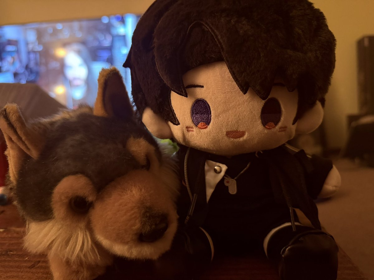 shardychu's tweet photo. It’s still International Wolf Day so here’s LebLeb with Valko, a red wolf plush I got a long time ago in with which proceeds went to red wolf conservation! Please let’s reunite Caleb with his new big brother Valko soon~

#BringBackValko #InternationalWolfDay #LADSis6 https://t.co/ffwhVD5o8V