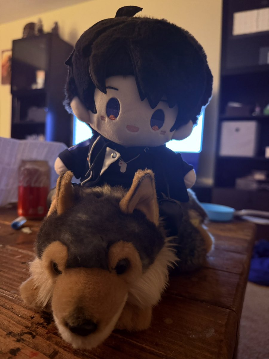 shardychu's tweet photo. It’s still International Wolf Day so here’s LebLeb with Valko, a red wolf plush I got a long time ago in with which proceeds went to red wolf conservation! Please let’s reunite Caleb with his new big brother Valko soon~

#BringBackValko #InternationalWolfDay #LADSis6 https://t.co/ffwhVD5o8V