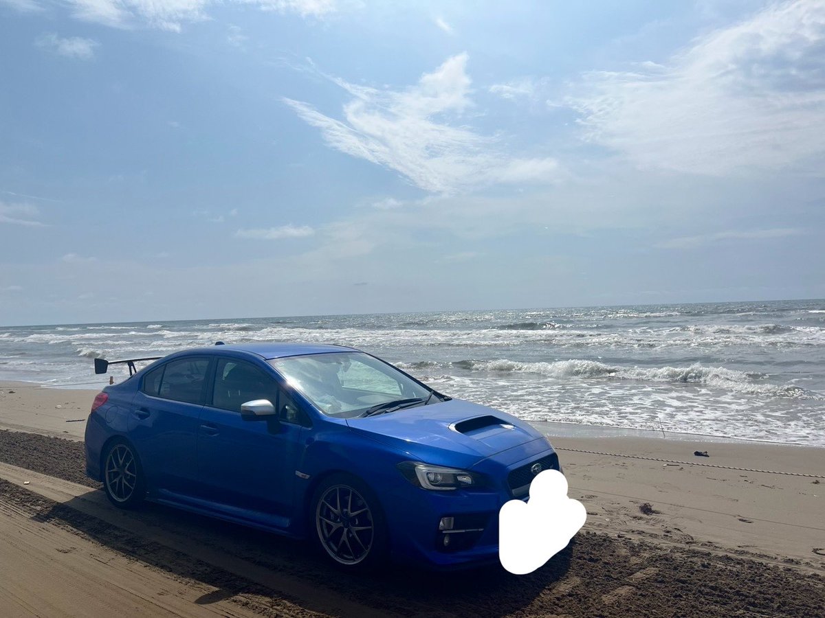 silverbirchnium's tweet photo. 一旦夏は楽しんできた https://t.co/MXBvhP90f9