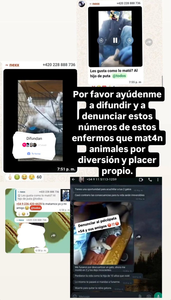 Yannieak's tweet photo. Odio tener que subir esto, son solo animalitos.... Son seres indefensos..
Ojalá te hagan lo mismo hijo de puta🖕🏻
cuando te estén apuñalando y aplastando sientas lo mismo que sintieron esos animalitos, a las personas que hacen esto les patina el coco 🖕🏻
#Difundir #fypシ゚viral https://t.co/rGWaY3B9kO