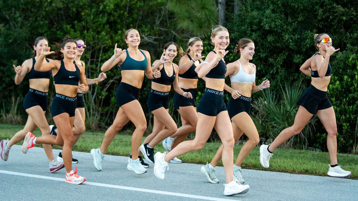 FGCU_XC's tweet photo. First practice of the year in the books! 

#WingsUp https://t.co/mUzNm0hz7Q