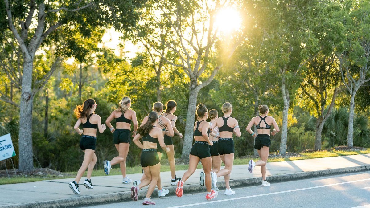 FGCU_XC's tweet photo. First practice of the year in the books! 

#WingsUp https://t.co/mUzNm0hz7Q