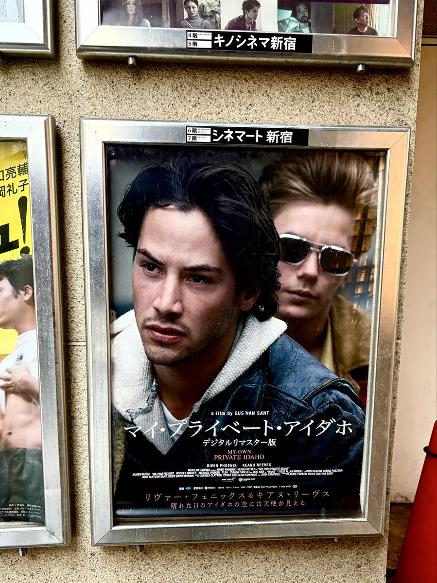 natyo29's tweet photo. シネマート新宿で『マイ・プライベート・アイダホ』デジダル・リマスター版。中学生の時にVHSで観た記憶があるんだけど全く覚えていなかった。たぶんストーリーが当時の自分には理解しきれなくてただ哀しくて忘れたんだろうな。 https://t.co/CbAd7Qg1hc