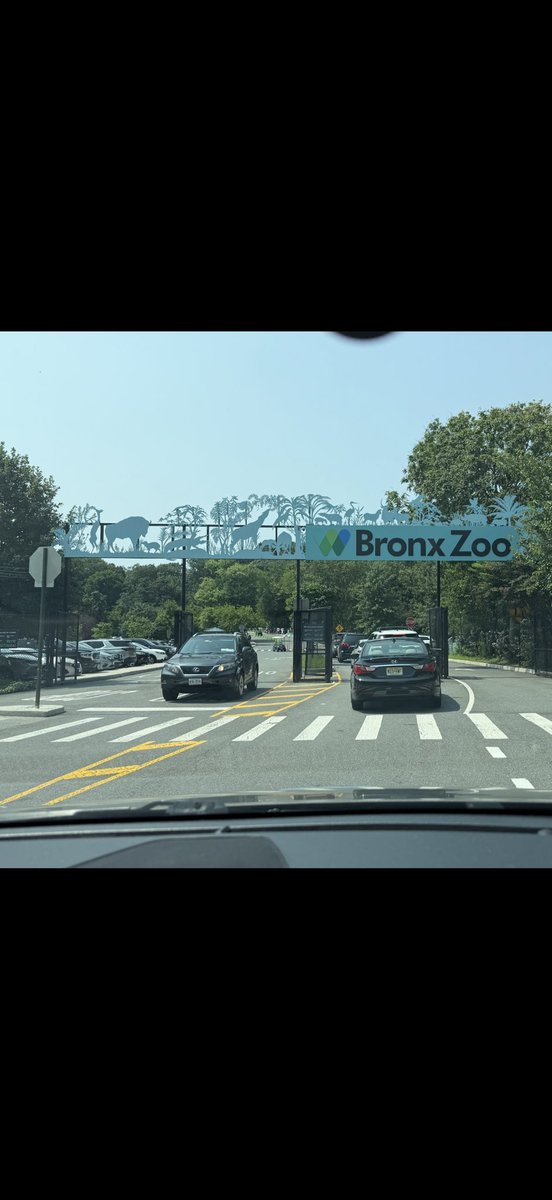 Mel12Koe's tweet photo. Field trip to zoo
What a day
Thankful https://t.co/OdrLTbari5