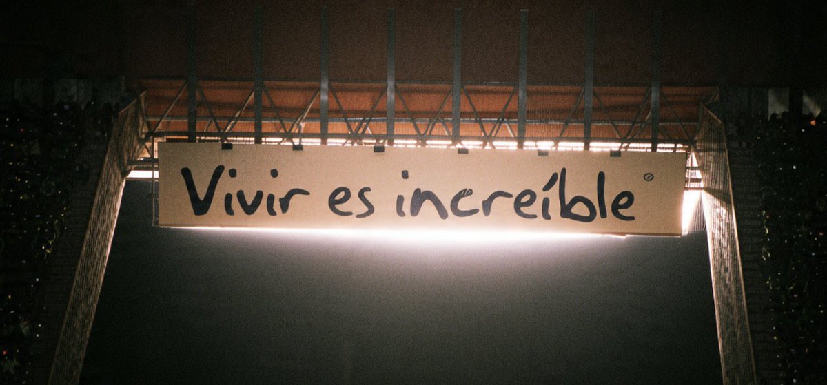 Crismtz_ahft's tweet photo. Spoiler de la vida: “Al final si terminas en el concierto de tu artista favorito” ✨ https://t.co/lDDp70VyLQ