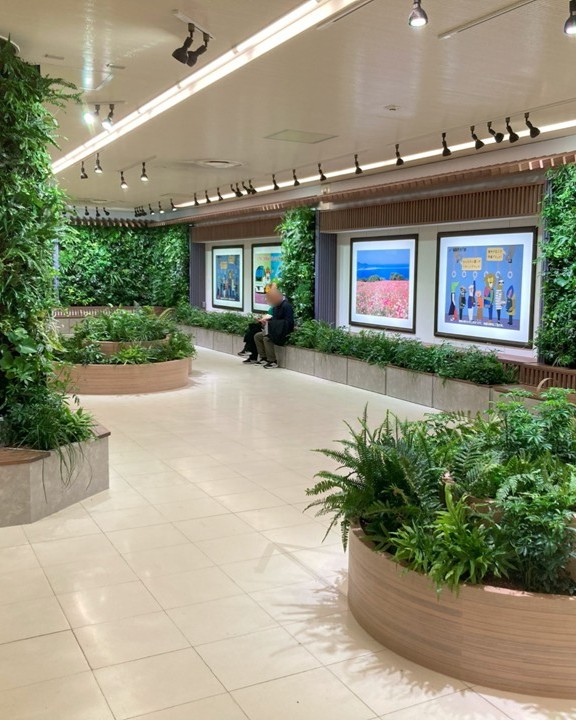 Chikamaru_info's tweet photo. ／
🌱九州初！地下鉄駅コンコースの緑化が農林水産省農産局長賞を受賞🎉
＼

天神駅・博多駅・福岡空港駅の緑化空間が、「屋内緑化コンクール2026」で「農林水産省農産局長賞」を受賞しました！

お出かけや通勤・通学の際は、ぜひ駅の緑にも注目してみてください🍀
#福岡市地下鉄 https://t.co/FKEB6D5UjY