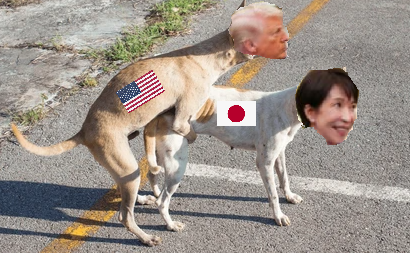 dafakdatname's tweet photo. @isfjcutebear I mean you could`ve gotten those islands back, if only you were an independent state and not an american lapdog b*tch. Russians were willing to give those islands back with only 1 condition - no american military bases there = and your american master said No. it is what it is. https://t.co/Lj0le8kPNu